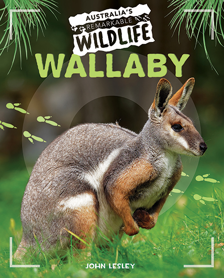 Wallaby