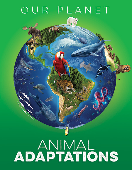 Animal Adaptations