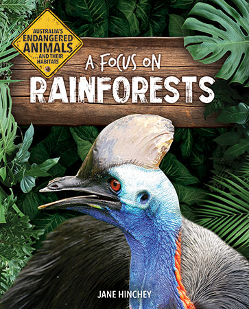 A Focus on Rainforests