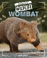 Wombat