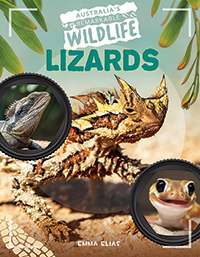 Lizards