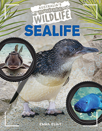 Sealife