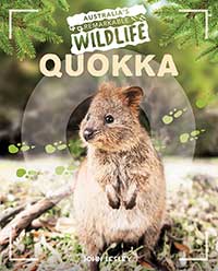 Quokka