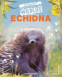 Echidna