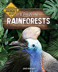 A Focus on Rainforests
